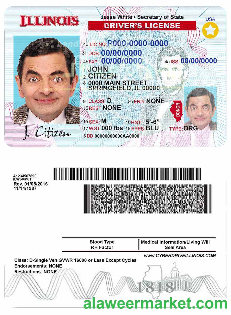 USA Illinois driving license